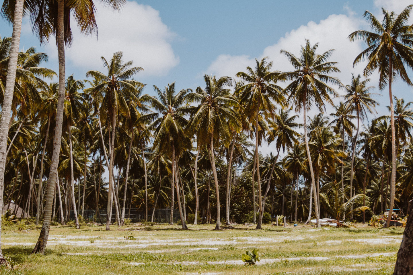 La Digue | Seychelles