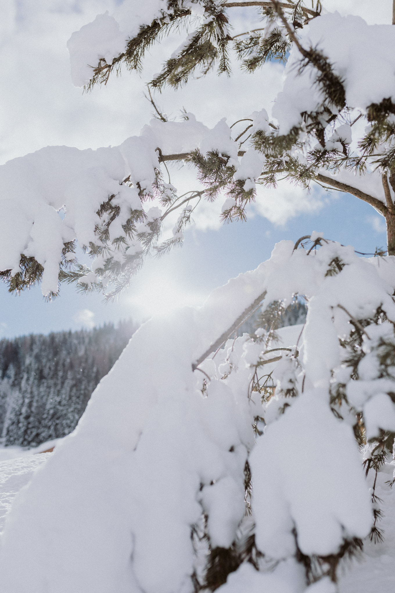 Naturhotel Forsthofgut Leogang Review